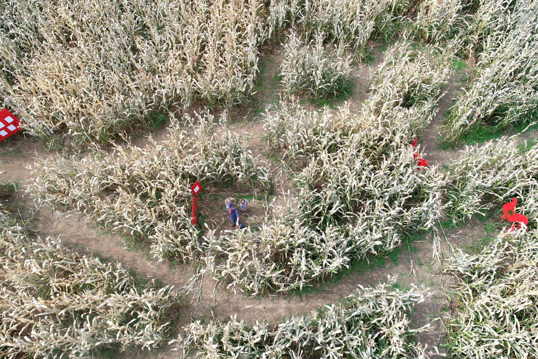 People in red wander a maze, seen from overhead